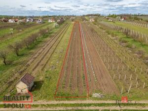 Prodej pozemku, Prušánky, Nechory, 1280 m2