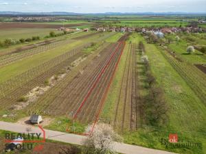 Prodej pozemku, Prušánky, Nechory, 1280 m2