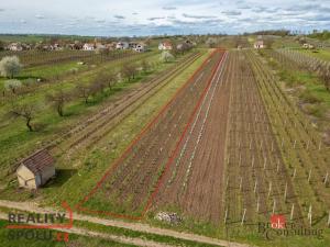 Prodej pozemku, Prušánky, Nechory, 1280 m2