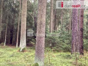 Prodej lesa, Sepekov - Líšnice, 69300 m2