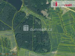 Prodej lesa, Sepekov - Líšnice, 69300 m2