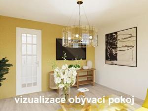 Prodej bytu 2+1, Světlá Hora - Světlá, 41 m2