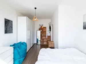 Pronájem bytu 2+kk, Praha - Žižkov, Biskupcova, 44 m2