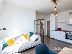 Pronájem bytu 2+kk, Praha - Žižkov, Biskupcova, 44 m2