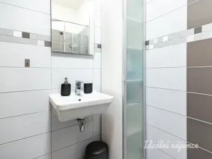 Pronájem bytu 2+kk, Praha - Žižkov, Biskupcova, 44 m2