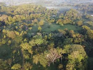 Prodej pozemku pro bydlení, Puerto Jiménez, Kostarika, 8924 m2