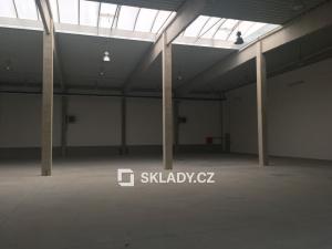 Pronájem skladu, Plzeň, Borská, 880 m2
