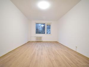 Prodej bytu 1+1, Chomutov, Holešická, 42 m2