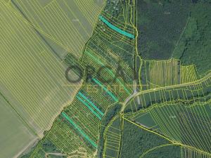 Prodej zemědělské půdy, Březolupy, 17736 m2