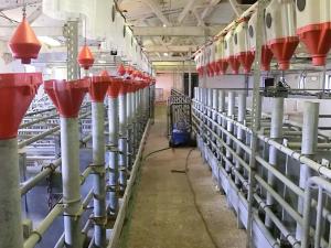 Prodej obchodního prostoru, Majdalena, 2000 m2