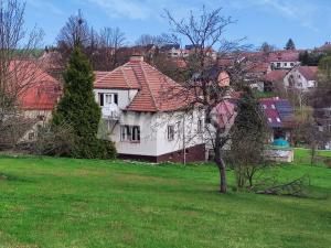 Prodej rodinného domu, Radostín nad Oslavou, 200 m2