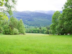 Prodej pozemku pro bydlení, Železná Ruda - Hojsova Stráž, 16959 m2