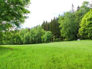 Prodej pozemku pro bydlení, Železná Ruda - Hojsova Stráž, 16959 m2