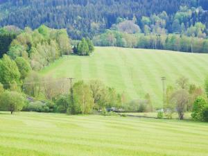 Prodej pozemku pro bydlení, Železná Ruda - Hojsova Stráž, 16959 m2