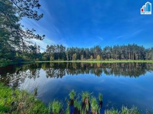 Prodej rybníku, Trstěnice, Trstěnice, 16545 m2