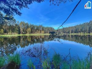 Prodej rybníku, Trstěnice, Trstěnice, 16545 m2