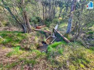 Prodej rybníku, Trstěnice, Trstěnice, 16545 m2