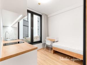 Pronájem bytu 1+kk, Praha - Břevnov, Na Větrníku, 18 m2