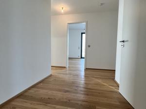 Pronájem bytu 3+kk, Olomouc, Ostrovní, 98 m2