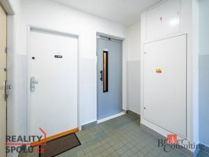 Prodej bytu 1+1, Praha - Nusle, Sevřená, 42 m2