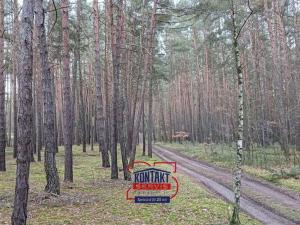 Prodej lesa, Mladotice, 43800 m2