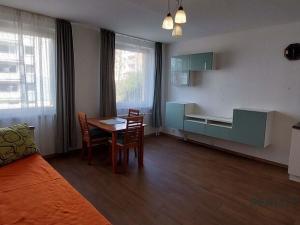 Pronájem bytu 1+kk, Ústí nad Labem, Neštěmická, 30 m2