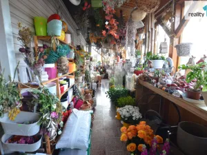 Pronájem obchodního prostoru, Ledeč nad Sázavou, Mostecká, 182 m2