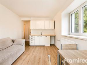 Prodej bytu 2+kk, Svratouch, 35 m2