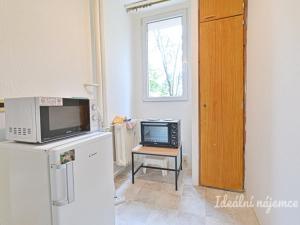 Pronájem bytu 1+1, Brno - Lesná, Halasovo náměstí, 29 m2