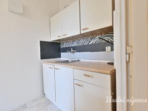 Pronájem bytu 1+1, Brno - Lesná, Halasovo náměstí, 29 m2