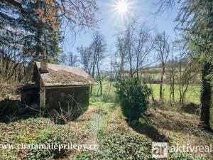 Prodej chaty, Chyňava - Malé Přílepy, 40 m2