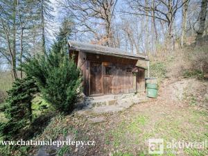 Prodej chaty, Chyňava - Malé Přílepy, 40 m2