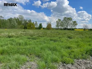 Prodej zemědělské půdy, Olomouc, 4547 m2