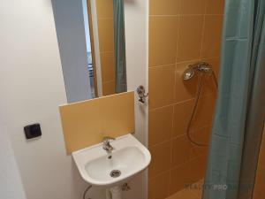 Pronájem apartmánu, Zlaté Hory, 33 m2