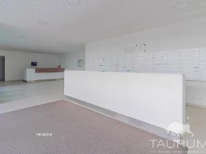 Prodej bytu 4+kk, Plzeň, Nemocniční, 92 m2