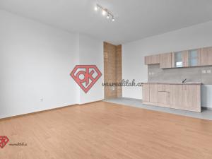 Prodej bytu 1+kk, Ústí nad Orlicí - Hylváty, Švermova, 36 m2