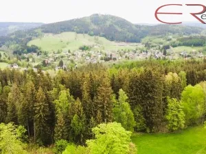 Prodej trvalého travního porostu, Smržovka, 18246 m2