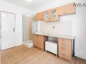 Prodej rodinného domu, Praha - Hloubětín, V chaloupkách, 612 m2