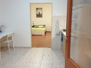 Pronájem bytu 1+1, Brno, Zelný trh, 40 m2