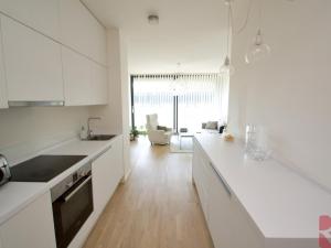 Prodej bytu 2+kk, Praha - Radlice, Radlická, 55 m2