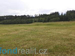 Prodej zemědělské půdy, Vidochov, 8290 m2