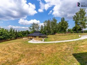 Prodej pozemku pro komerční výstavbu, Rataje nad Sázavou, 7450 m2