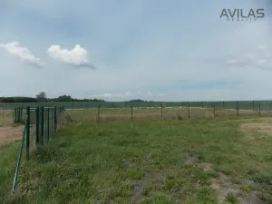 Prodej pozemku pro bydlení, Václavice, Václavice, 995 m2