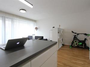 Pronájem bytu 1+kk, Brno, Slepá, 41 m2
