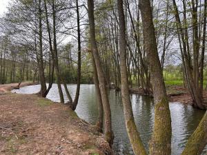 Prodej zemědělské usedlosti, Jivina, 895 m2