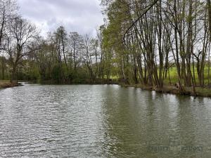 Prodej zemědělské usedlosti, Jivina, 895 m2