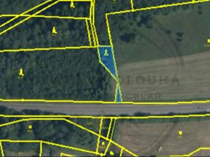 Prodej trvalého travního porostu, Lipová-lázně, 12383 m2