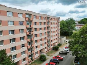 Prodej bytu 3+1, Teplice - Trnovany, Fügnerova, 89 m2