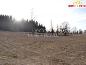 Prodej pozemku pro bydlení, Bublava, 9092 m2