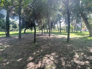 Prodej bytu 3+1, Itálie, Montesilvano, 62 m2